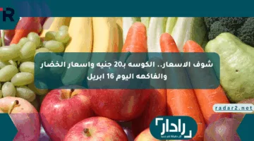 شوف الأسعار.. الكوسة بـ20 جنيه وأسعار الخضار والفاكهة اليوم 16 أبريل